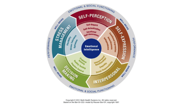 Emotional Intelligence Assessment wheel